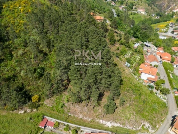 Terreno Agricola ou Rústico para Venda em Amarante (São Gonçalo), Madalena, Cepelos e Gatão