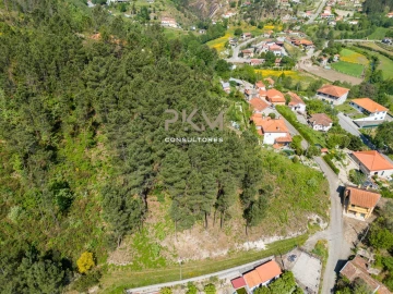 Terreno Agricola ou Rústico para Venda em Amarante (São Gonçalo), Madalena, Cepelos e Gatão