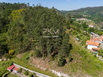Terreno Agricola ou Rústico para Venda em Amarante (São Gonçalo), Madalena, Cepelos e Gatão