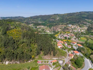 Terreno Agricola ou Rústico para Venda em Amarante (São Gonçalo), Madalena, Cepelos e Gatão