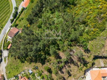 Terreno Agricola ou Rústico para Venda em Amarante (São Gonçalo), Madalena, Cepelos e Gatão