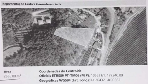 Terreno Agricola ou Rústico para Venda em Amarante (São Gonçalo), Madalena, Cepelos e Gatão