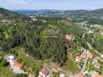 Terreno Agricola ou Rústico para Venda em Amarante (São Gonçalo), Madalena, Cepelos e Gatão