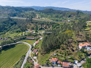 Terreno Agricola ou Rústico para Venda em Amarante (São Gonçalo), Madalena, Cepelos e Gatão