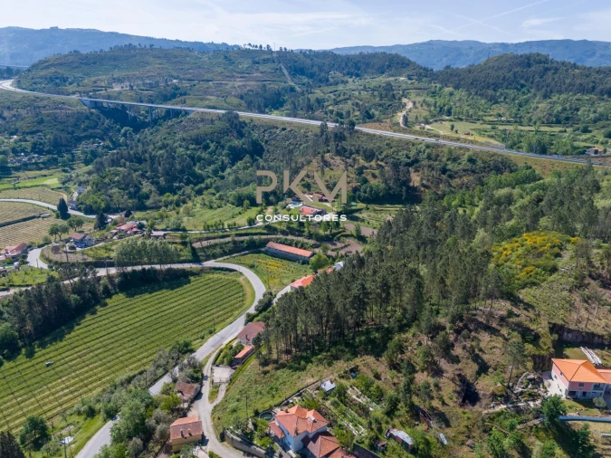 Terreno Agricola ou Rústico para Venda em Amarante (São Gonçalo), Madalena, Cepelos e Gatão Foto 10