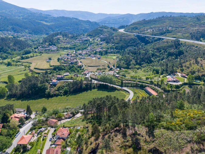 Terreno Agricola ou Rústico para Venda em Amarante (São Gonçalo), Madalena, Cepelos e Gatão Foto 12