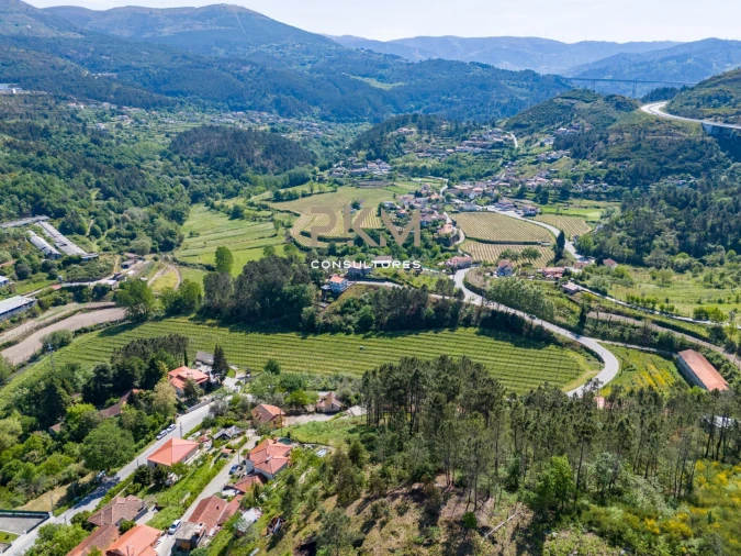 Terreno Agricola ou Rústico para Venda em Amarante (São Gonçalo), Madalena, Cepelos e Gatão Foto 13