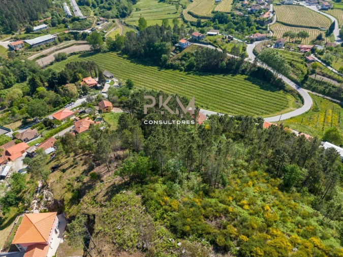 Terreno Agricola ou Rústico para Venda em Amarante (São Gonçalo), Madalena, Cepelos e Gatão Foto 16