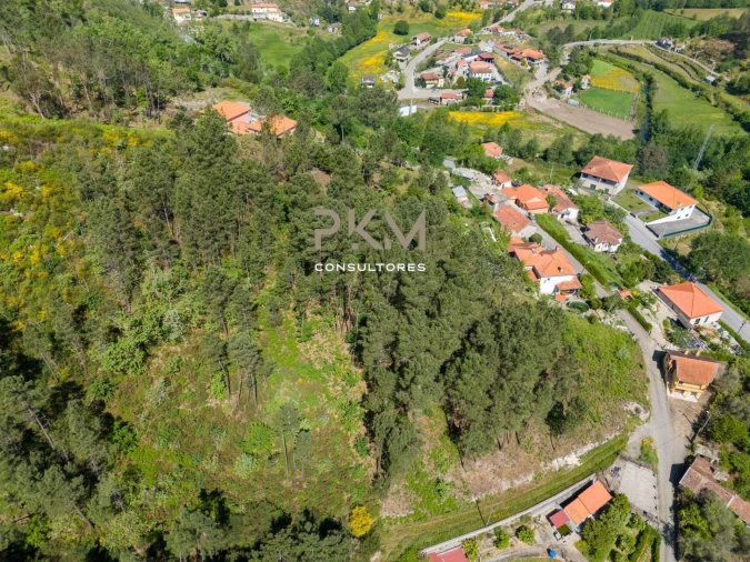 Terreno Agricola ou Rústico para Venda em Amarante (São Gonçalo), Madalena, Cepelos e Gatão Foto 22