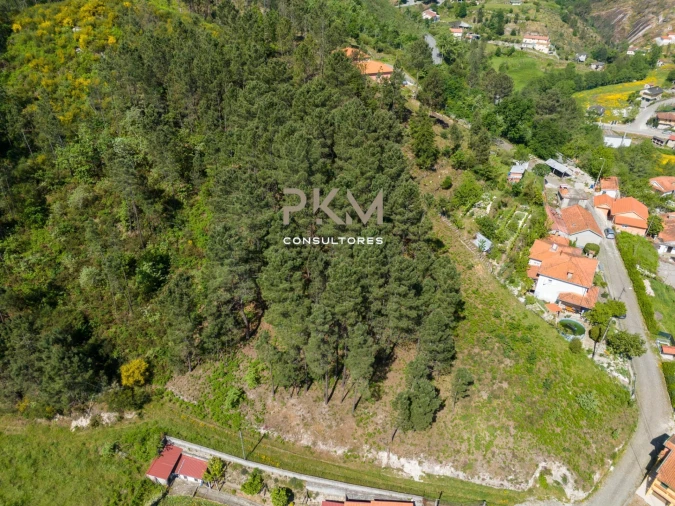Terreno Agricola ou Rústico para Venda em Amarante (São Gonçalo), Madalena, Cepelos e Gatão Foto 25