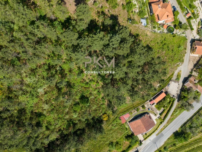 Terreno Agricola ou Rústico para Venda em Amarante (São Gonçalo), Madalena, Cepelos e Gatão Foto 33
