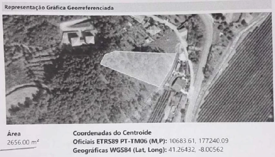 Terreno Agricola ou Rústico para Venda em Amarante (São Gonçalo), Madalena, Cepelos e Gatão Foto 35