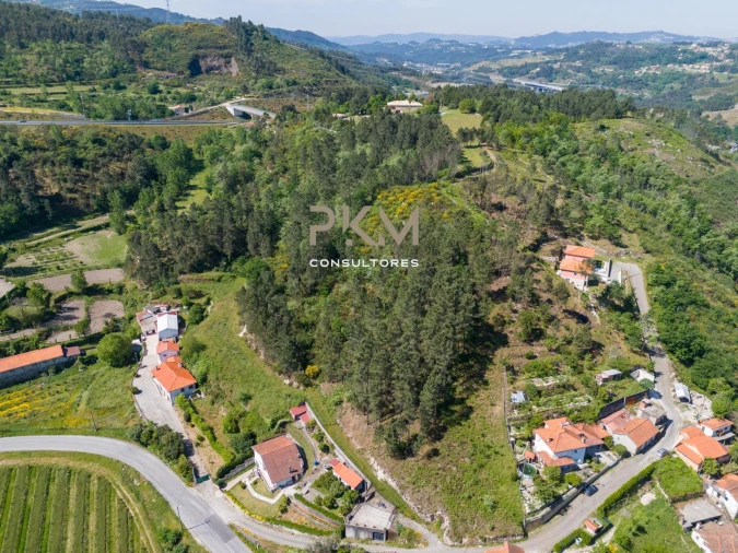 Terreno Agricola ou Rústico para Venda em Amarante (São Gonçalo), Madalena, Cepelos e Gatão Foto 6