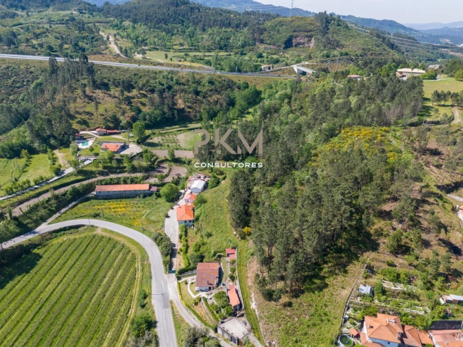 Terreno Agricola ou Rústico para Venda em Amarante (São Gonçalo), Madalena, Cepelos e Gatão Foto 7