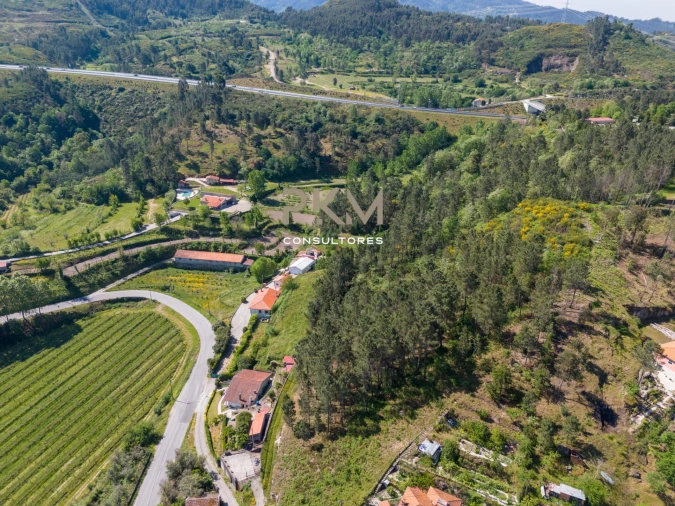 Terreno Agricola ou Rústico para Venda em Amarante (São Gonçalo), Madalena, Cepelos e Gatão Foto 8