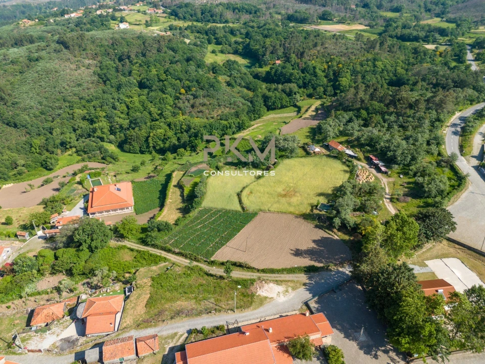 Terreno Agricola ou Rústico para Venda em Amarante (São Gonçalo), Madalena, Cepelos e Gatão Foto 23