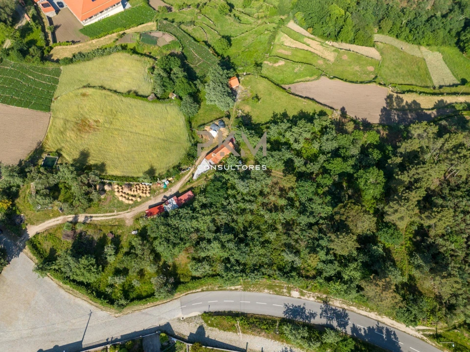 Terreno Agricola ou Rústico para Venda em Amarante (São Gonçalo), Madalena, Cepelos e Gatão Foto 29