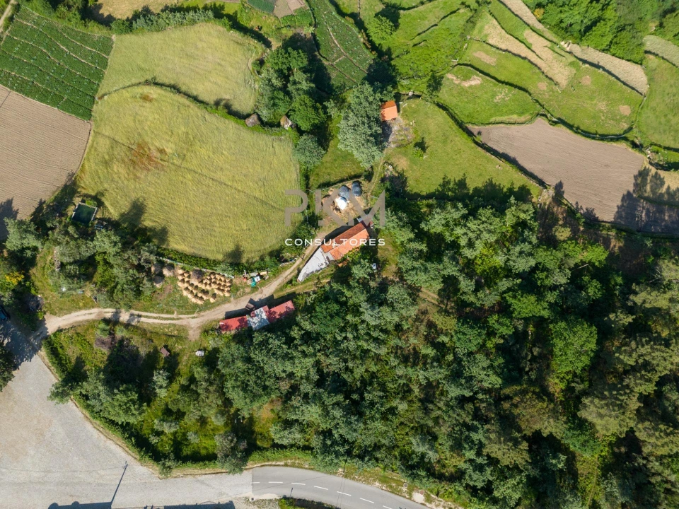 Terreno Agricola ou Rústico para Venda em Amarante (São Gonçalo), Madalena, Cepelos e Gatão Foto 30