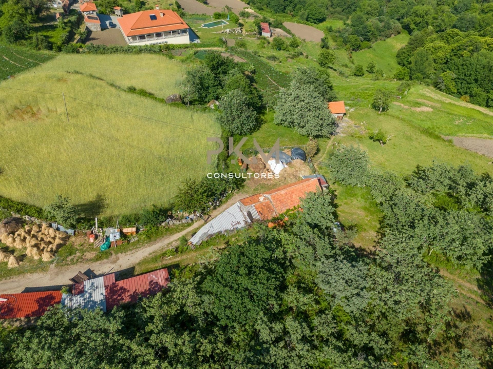 Terreno Agricola ou Rústico para Venda em Amarante (São Gonçalo), Madalena, Cepelos e Gatão Foto 32