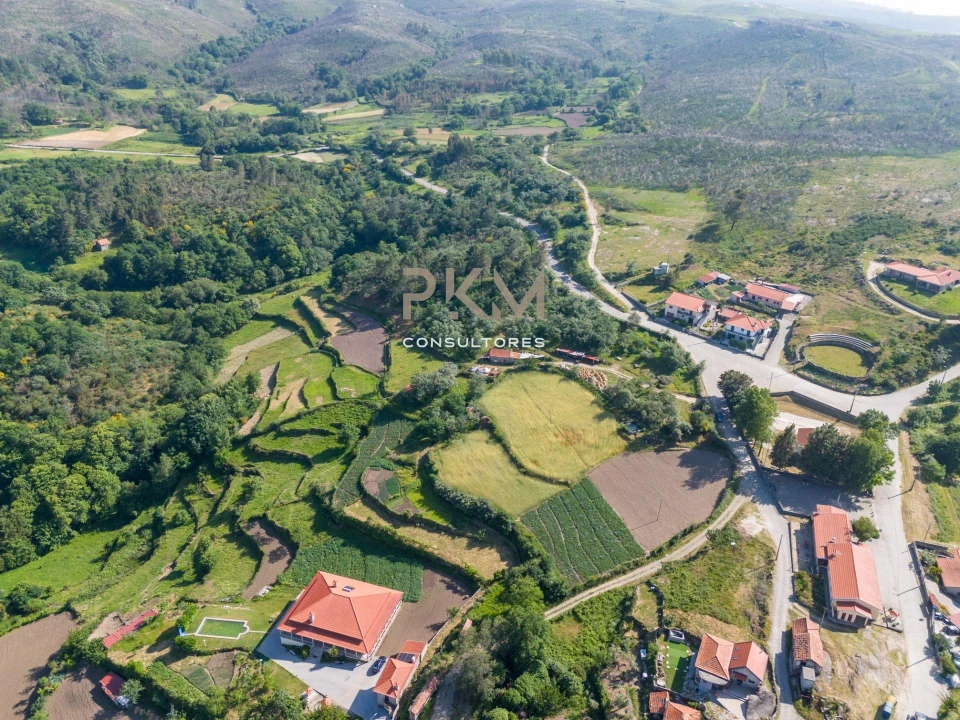 Terreno Agricola ou Rústico para Venda em Amarante (São Gonçalo), Madalena, Cepelos e Gatão Foto 48