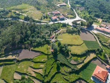 Terreno Agricola ou Rústico para Venda em Amarante (São Gonçalo), Madalena, Cepelos e Gatão