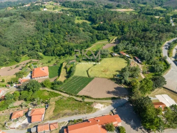 Terreno Agricola ou Rústico para Venda em Amarante (São Gonçalo), Madalena, Cepelos e Gatão