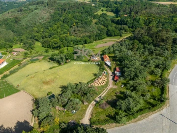 Terreno Agricola ou Rústico para Venda em Amarante (São Gonçalo), Madalena, Cepelos e Gatão