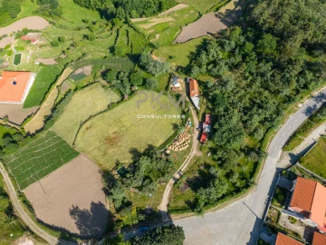 Terreno Agricola ou Rústico para Venda em Amarante (São Gonçalo), Madalena, Cepelos e Gatão
