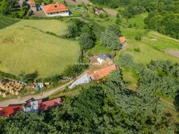 Terreno Agricola ou Rústico para Venda em Amarante (São Gonçalo), Madalena, Cepelos e Gatão