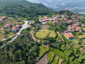 Terreno Agricola ou Rústico para Venda em Amarante (São Gonçalo), Madalena, Cepelos e Gatão