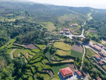 Terreno Agricola ou Rústico para Venda em Amarante (São Gonçalo), Madalena, Cepelos e Gatão