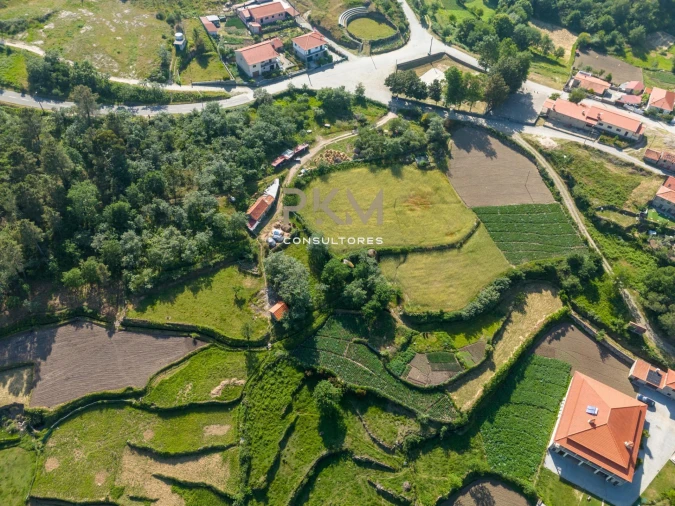 Terreno Agricola ou Rústico para Venda em Amarante (São Gonçalo), Madalena, Cepelos e Gatão Foto 14