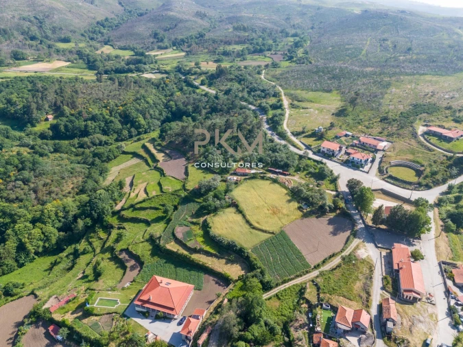 Terreno Agricola ou Rústico para Venda em Amarante (São Gonçalo), Madalena, Cepelos e Gatão Foto 18