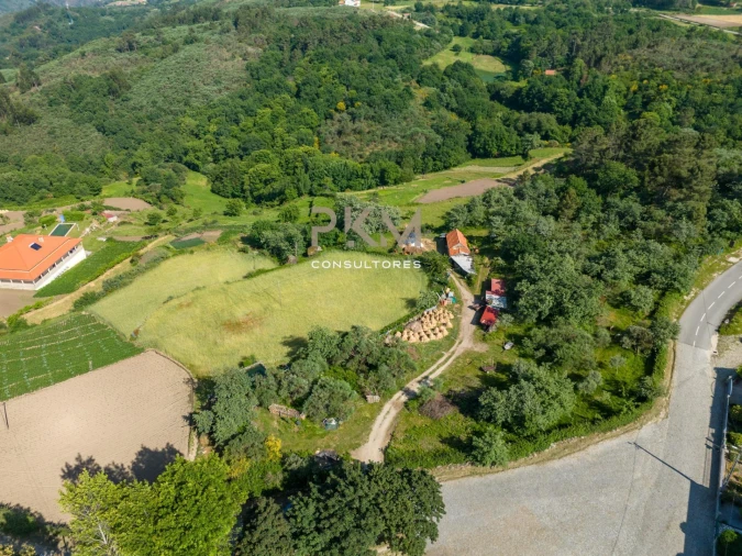 Terreno Agricola ou Rústico para Venda em Amarante (São Gonçalo), Madalena, Cepelos e Gatão Foto 25