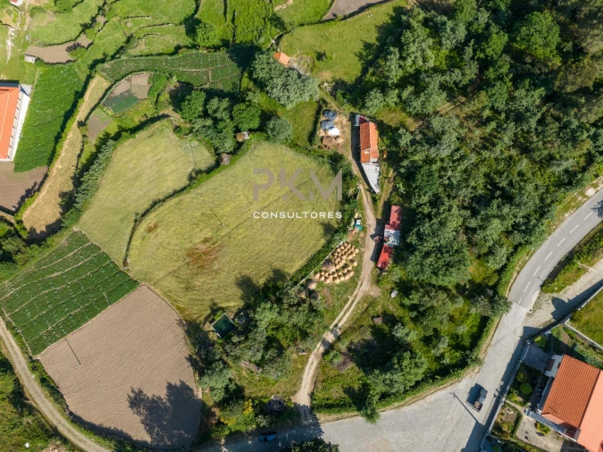 Terreno Agricola ou Rústico para Venda em Amarante (São Gonçalo), Madalena, Cepelos e Gatão Foto 28