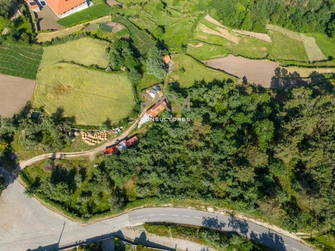 Terreno Agricola ou Rústico para Venda em Amarante (São Gonçalo), Madalena, Cepelos e Gatão Foto 29