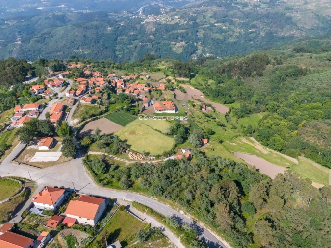 Terreno Agricola ou Rústico para Venda em Amarante (São Gonçalo), Madalena, Cepelos e Gatão Foto 36