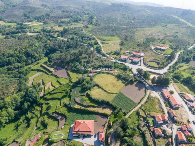 Terreno Agricola ou Rústico para Venda em Amarante (São Gonçalo), Madalena, Cepelos e Gatão Foto 47