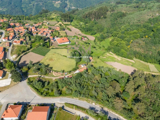 Terreno Agricola ou Rústico para Venda em Amarante (São Gonçalo), Madalena, Cepelos e Gatão Foto 5