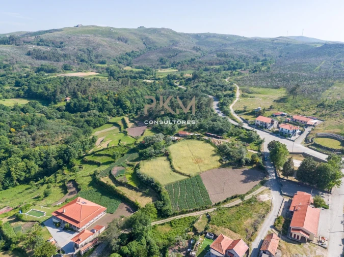 Terreno Agricola ou Rústico para Venda em Amarante (São Gonçalo), Madalena, Cepelos e Gatão Foto 50