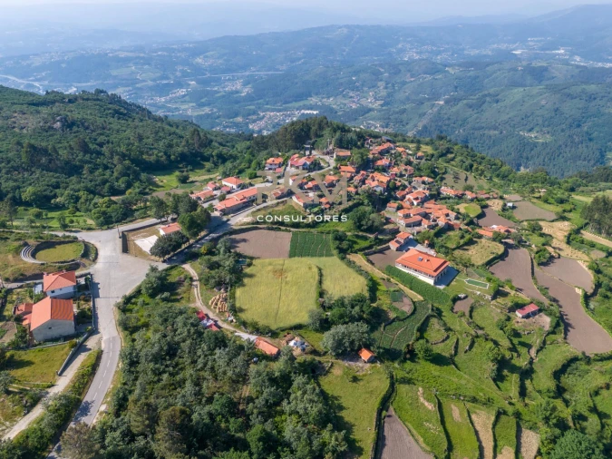 Terreno Agricola ou Rústico para Venda em Amarante (São Gonçalo), Madalena, Cepelos e Gatão Foto 9