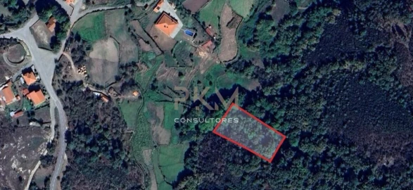 Terreno Agricola ou Rústico para Venda em Amarante (São Gonçalo), Madalena, Cepelos e Gatão