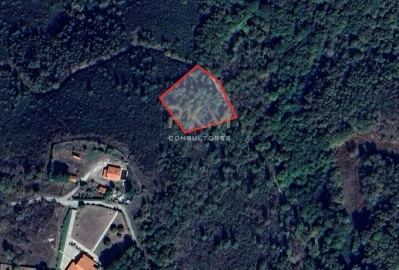 Terreno Agricola ou Rústico para Venda em Amarante (São Gonçalo), Madalena, Cepelos e Gatão