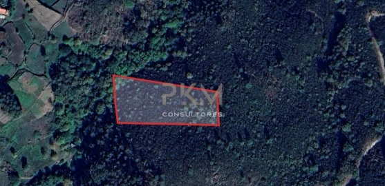 Terreno Agricola ou Rústico para Venda em Amarante (São Gonçalo), Madalena, Cepelos e Gatão