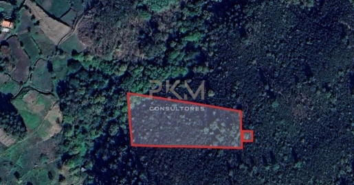 Terreno Agricola ou Rústico para Venda em Amarante (São Gonçalo), Madalena, Cepelos e Gatão