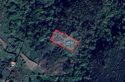 Terreno Agricola ou Rústico para Venda em Amarante (São Gonçalo), Madalena, Cepelos e Gatão