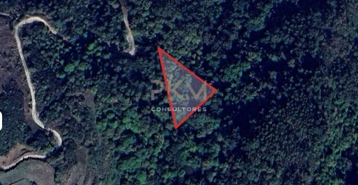 Terreno Agricola ou Rústico para Venda em Amarante (São Gonçalo), Madalena, Cepelos e Gatão