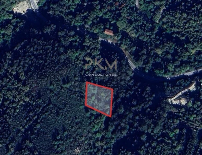 Terreno Agricola ou Rústico para Venda em Amarante (São Gonçalo), Madalena, Cepelos e Gatão Foto 19