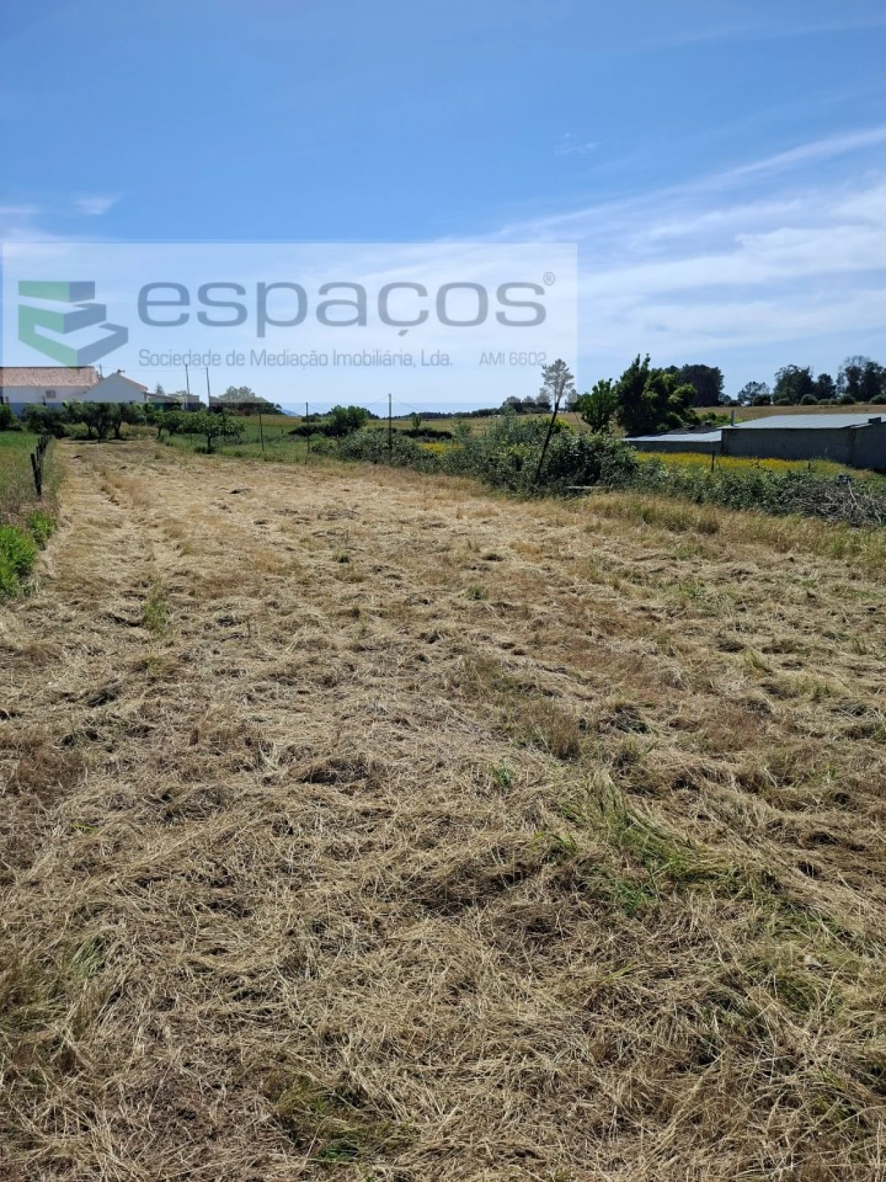 Moradia T3 para Venda em Vale de Prazeres e Mata da Rainha Foto 18