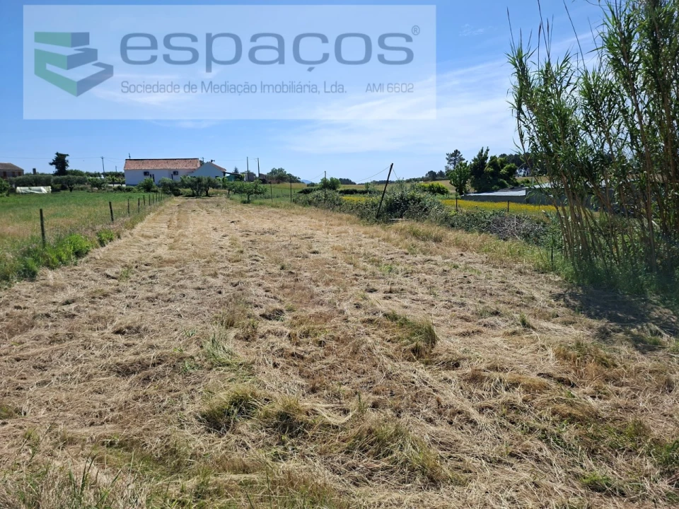 Moradia T3 para Venda em Vale de Prazeres e Mata da Rainha Foto 19